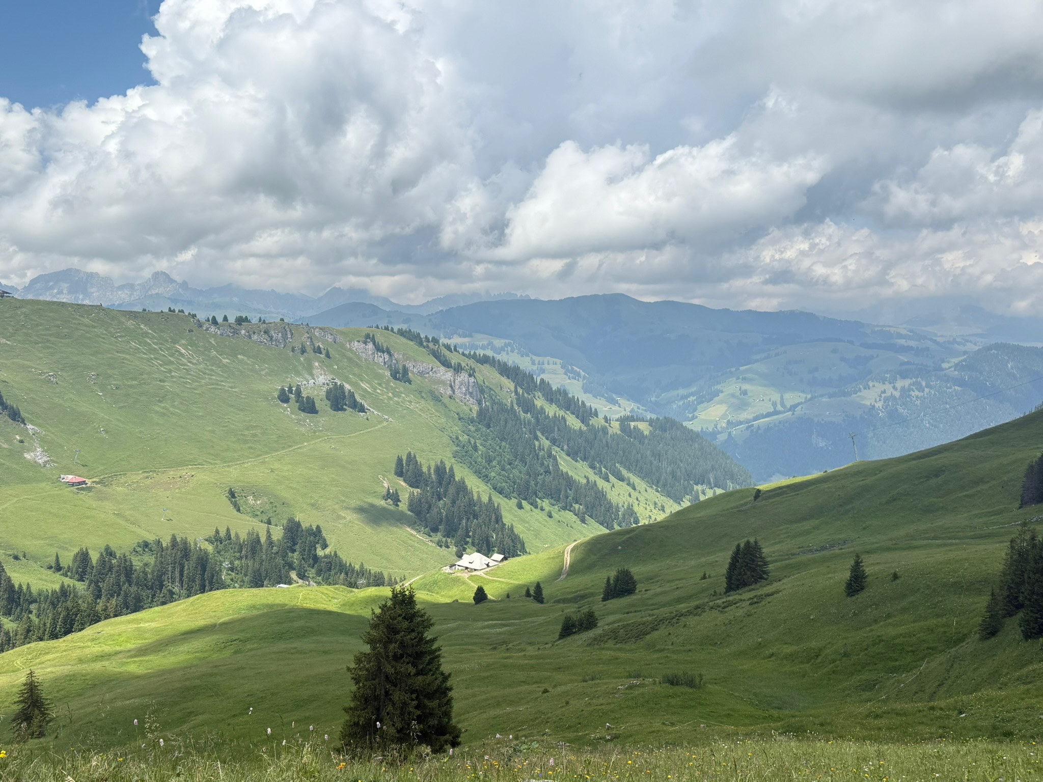 Valles alpinos · Verano