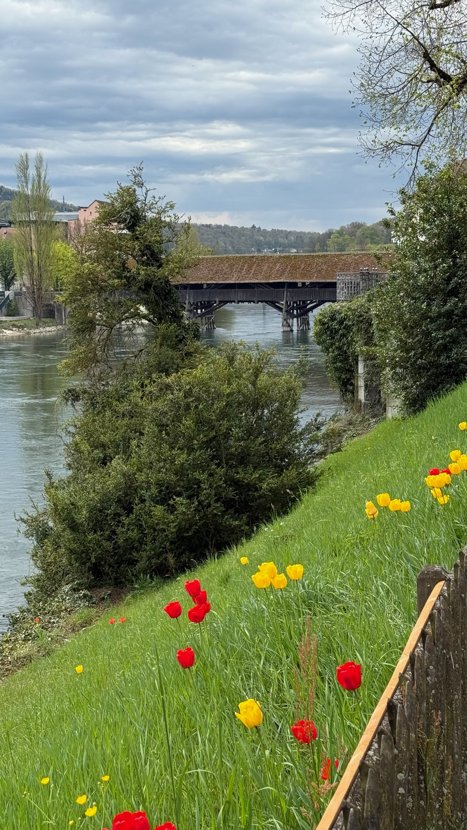 Primavera suiza