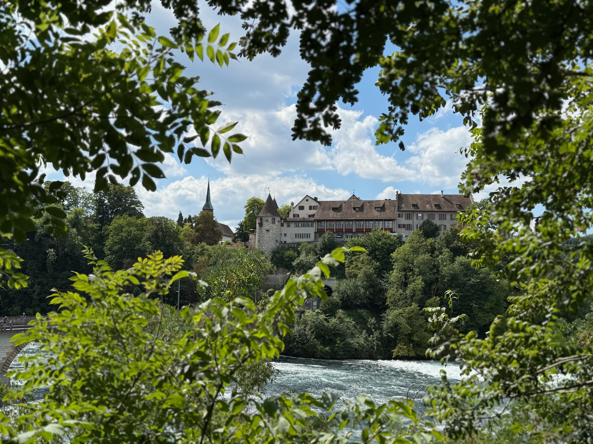 Cataratas del Rin
